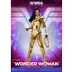 Wonder Woman 1984 Dynamic 8ction Heroes Figura 1/9 Wonder Woman 21 cm