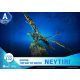 Avatar 2 D-Stage PVC Dioráma Neytiri 15 cm