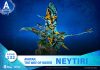 Avatar 2 D-Stage PVC Dioráma Neytiri 15 cm