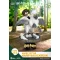 Harry Potter D-Stage PVC Dioráma Harry & Buckbeak 16 cm