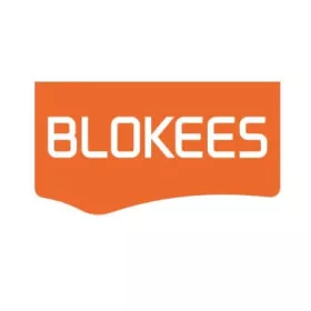   Transformers Blokees Plastic Model Kit Classic Class 12 Megatron