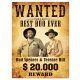 Bud Spencer & Terence Hill Tin Sign Wanted 30 x 40 cm