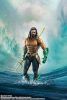 Aquaman and the Lost Kingdom S.H. Figuarts Action Figure Guile -Outfit 2- 16 cm