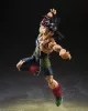 Dragon Ball Z S.H. Figuarts Action Figure Bardock the Father of Goku 15 cm