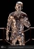 Terminator 2 Judgement Day Premium Statue 1/3 T-1000 Liquid Metal 30th Anniversary Edition 70 cm