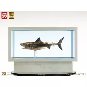 Jaws Maquette 1/18 Jaws Bronze 60 cm