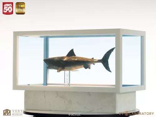Jaws Maquette 1/18 Jaws Bronze 60 cm