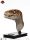 Jurassic Park Life-Size Bust Male Velociraptor 75 cm