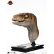 Jurassic Park Life-Size Bust Male Velociraptor 75 cm