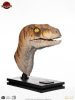 Jurassic Park Life-Size Bust Male Velociraptor 75 cm