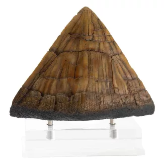  Jurassic Park Statue Triceratops Spike Prop (Reproduction) 19 cm