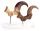 Jurassic Park ECC Elite Creature Line Statue Velociraptor Foot Claw and Fossil Claw Set 20 cm