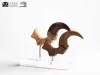 Jurassic Park ECC Elite Creature Line Statue Velociraptor Foot Claw and Fossil Claw Set 20 cm