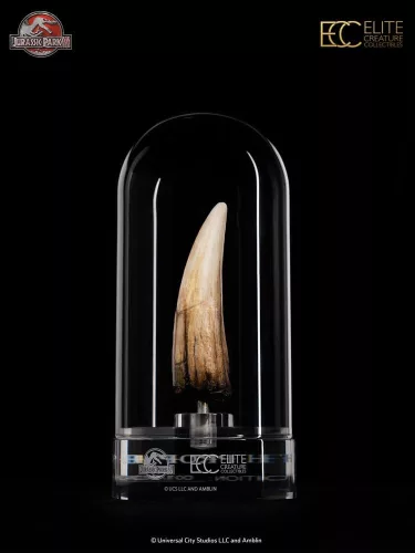 Jurassic Park III Prop Replica 1/1 Spinosaurus Tooth 14 cm