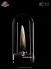 Jurassic Park III Prop Replica 1/1 Spinosaurus Tooth 14 cm