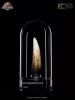 Jurassic Park III Prop Replica 1/1 Spinosaurus Tooth 14 cm