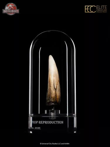 Jurassic Park III Prop Replica 1/1 Spinosaurus Tooth 14 cm