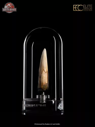 Jurassic Park III Prop Replica 1/1 Spinosaurus Tooth 14 cm