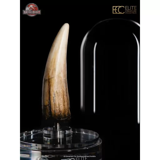 Jurassic Park III Prop Replica 1/1 Spinosaurus Tooth 14 cm