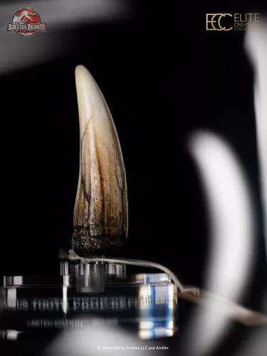 Jurassic Park III Prop Replica 1/1 Spinosaurus Tooth 14 cm