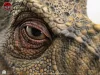 The Lost World: Jurassic Park Replica Bust 1/1 Junior T-Rex Prop (Reproduction) 39 cm