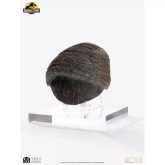 Jurassic Park 1/1 Replica Triceratops Toenail 16 cm