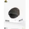 Jurassic Park 1/1 Replica Triceratops Toenail 16 cm