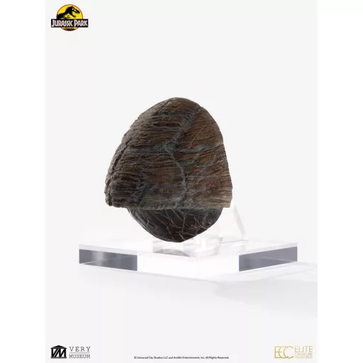 Jurassic Park 1/1 Replica Triceratops Toenail 16 cm