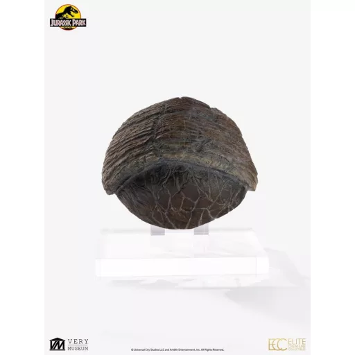 Jurassic Park 1/1 Replica Triceratops Toenail 16 cm