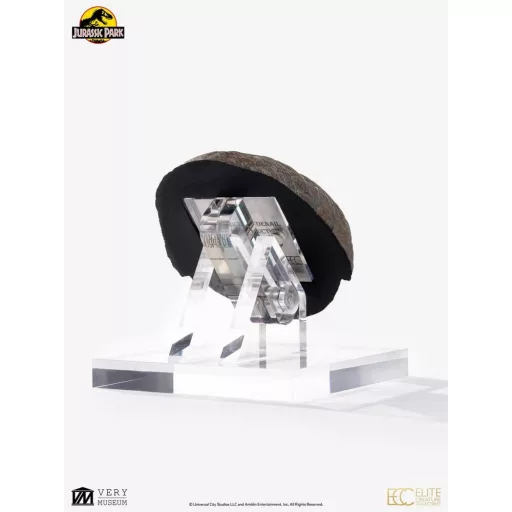 Jurassic Park 1/1 Replica Triceratops Toenail 16 cm