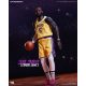 NBA Collection Real Masterpiece Action Figure 1/6 Lebron James Special Edition 30 cm