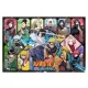 Naruto Shippuden puzzle Ver. D
