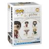 Harry Potter - Chamber of Secrets Anniversary POP! Movies Vinyl Figura Harry 9 cm