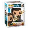 Aquaman and the Lost Kingdom POP! Vinyl Figura Aquaman 9 cm