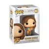 Harry Potter POP & Buddy! Movies Vinyl Figure Hermione w/Crookshanks 9 cm