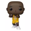 NBA Legends POP! Sports Vinyl Figure Lakers- Shaq('00 WCF Celebration) 9 cm