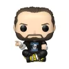WWE POP! Vinyl Figure CM Punk 9 cm