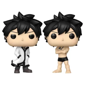   Fairy Tail 100 Year Quest POP! Animation Vinyl Figures Gray w/Chase 9 cm Assortment (6)