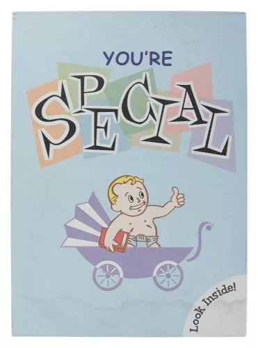 Fallout Ingots with Album S.P.E.C.I.A.L. Perk Card Collector’s Album