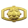 Transformers Pin Badge Display Mystery Pin Badge (12)