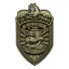 Five Nights at Freddy's Replica Security Badge Antique Brass Edition