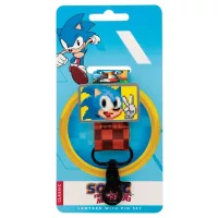 Lanyard