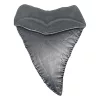 Jaws Medallion 50th Anniversary Shark Tooth