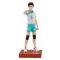 Haikyu!! PVC Figure Hajime Iwaizumi 19 cm