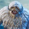 Star Wars Episode V Mellszobor 1/6 Wampa 19 cm