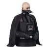 Star Wars Episode VI Mellszobor 1/6 Darth Vader (unhelmeted) 15 cm