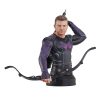 Hawkeye Bust 1/6 Hawkeye 15 cm