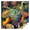 Ernst Haeckel Imagination Puzzle Sea Anemones/Stworzenia morskie (1000 pieces)