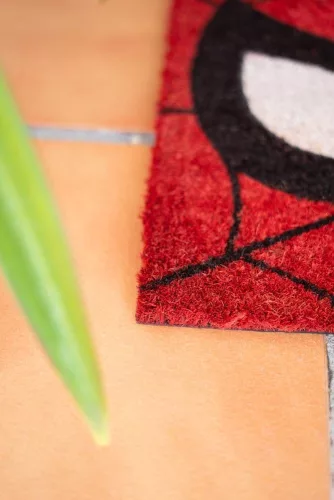 Marvel Doormat Spider-Man Eyes 40 x 60 cm