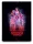 Stranger Things Folder Premium